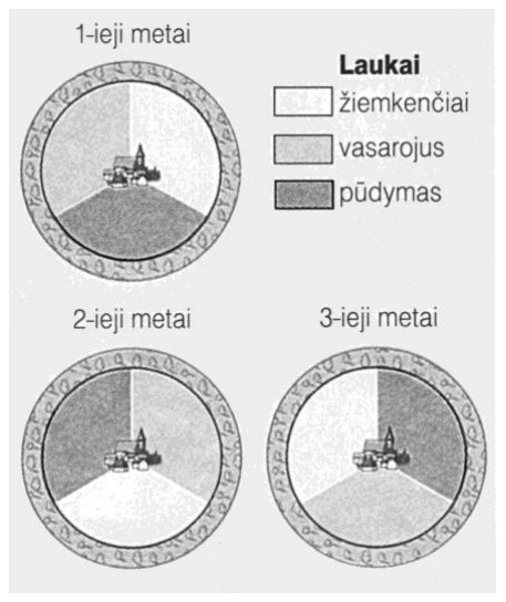 Sėjomainos schema: trys metai, laukai padalyti į žiemkenčius, vasarojų ir pūdymą