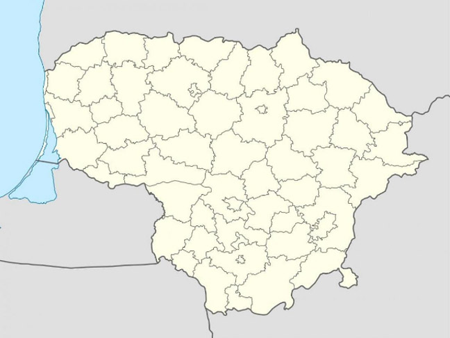 Šaltinis